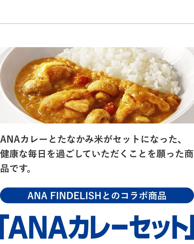 ANAカレーセット