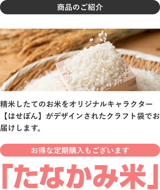 たなかみ米
