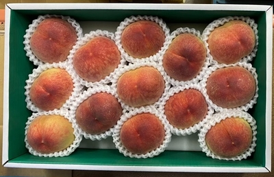 日川白鳳（6月中旬頃～） | 八旗農園通販サイト