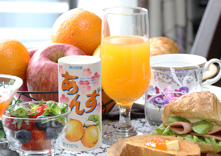 鉄分不足の方に人気の鉄分入りドリンク、杏エードを通販で | 森食品