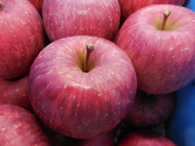 サンフジ進物用中玉5㎏16～18個