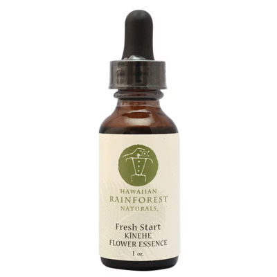 キネヘ[Kinehe] -フレッシュスタート-