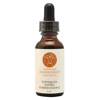 パパイヤ[Papaya] -手放す-