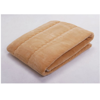 ヒートレイ プレミアム敷き毛布