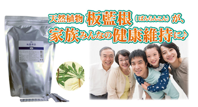 板藍根茶⭐︎新日本漢方120包　風邪対策　解毒作用 板藍根茶】解毒作用・消炎作用がある生薬－yorokobu