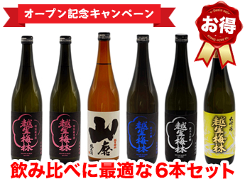 【飲み比べに最適！】佐藤酒造のお得な6本セット