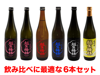 【飲み比べに最適！】佐藤酒造のおすすめ6本セット