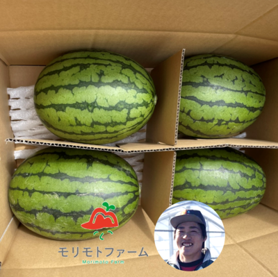 小玉スイカ 分校ファームズ島原