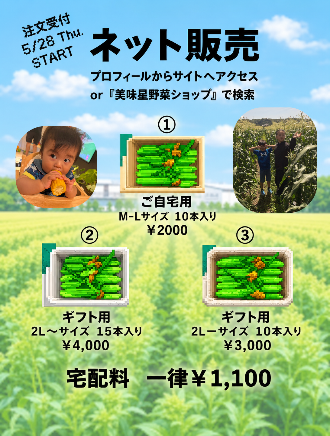 お子様にも人気です♪