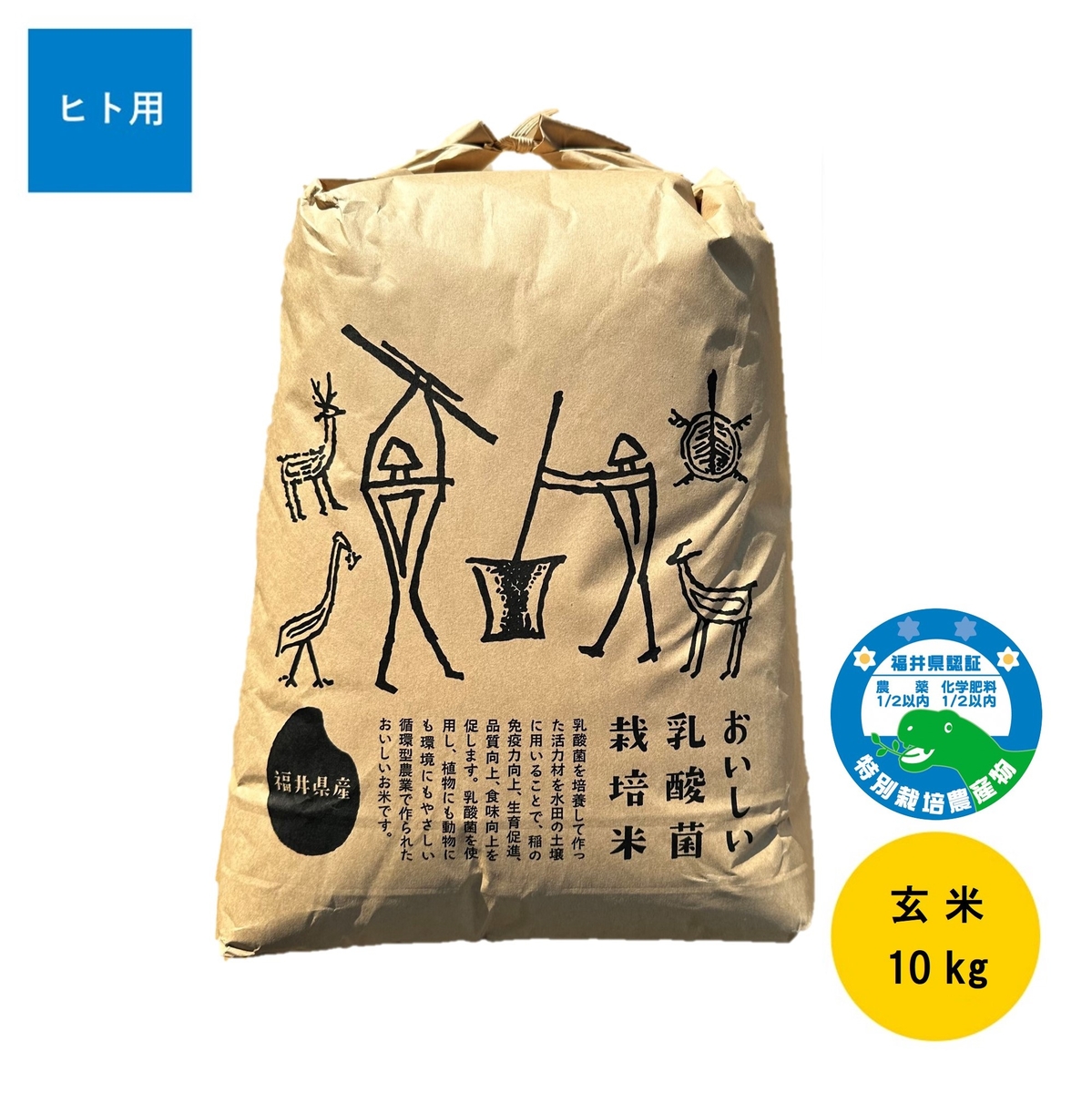 専用ページです PINKY&DIANNE マルチカラープリントブラウス