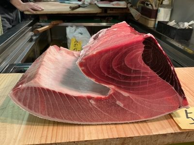 【冷凍】天然南インドマグロ腹上3.4キロ