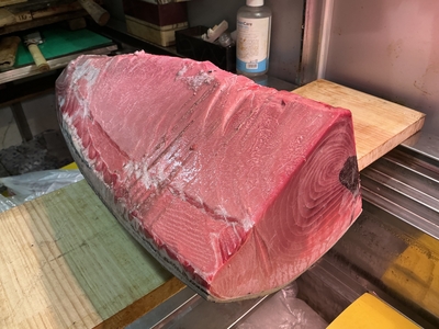 【冷凍】天然南インドマグロ背の上8.5キロ