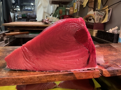 【生】ニュージーランドのインドマグロ 背の中1.0キロ