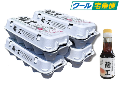 クール 4パック＆醤油セット