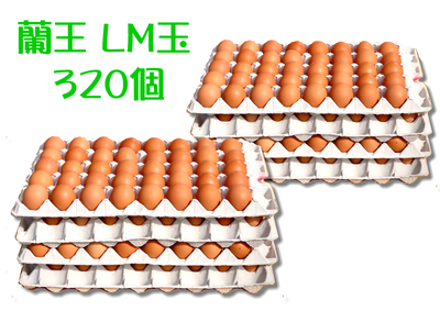 160個入LM玉(バラ)２箱(計320個）