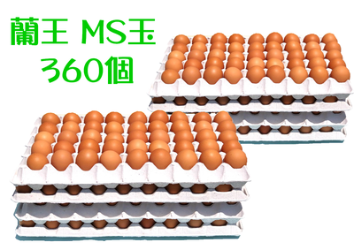 180個入MS玉(バラ)2箱(計360個）
