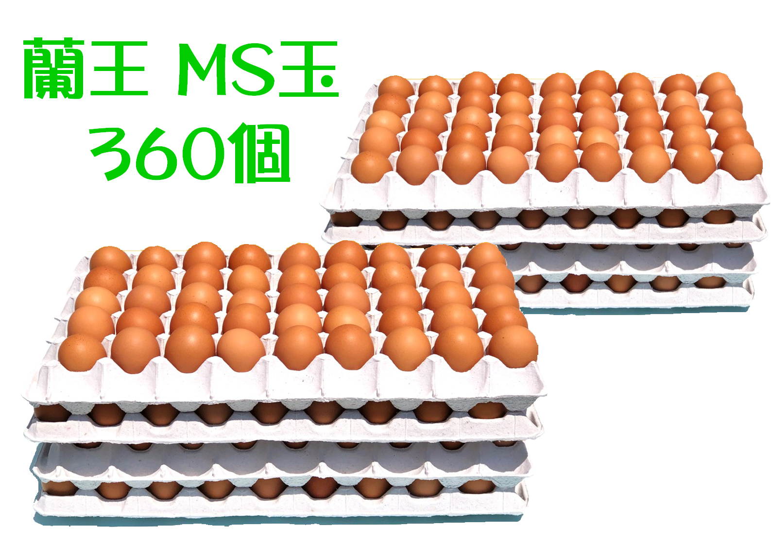 たまごはん② 楽天市場】【ふるさと納税】極上TKG用宗田節セット（卵かけご飯専用