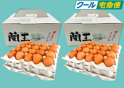 クール[化粧箱] 40個入(バラ)LМ玉　2箱