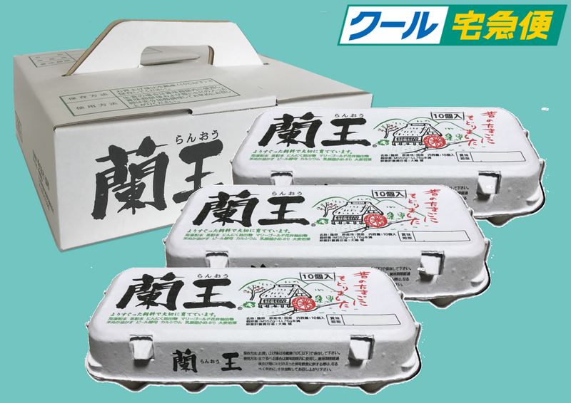 クール[化粧箱]10個入&times;3パック 2～4箱