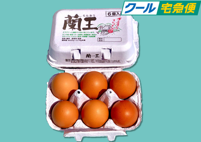 クール 6個入りLМ玉16～20パック