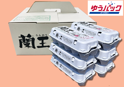 [化粧箱] 6パック(10個入LM玉) 