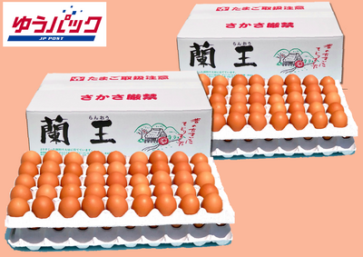 90個入 МS玉(バラ) ２箱