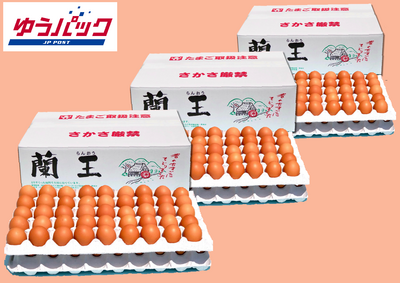 〒90個入 МS玉(バラ) ３箱