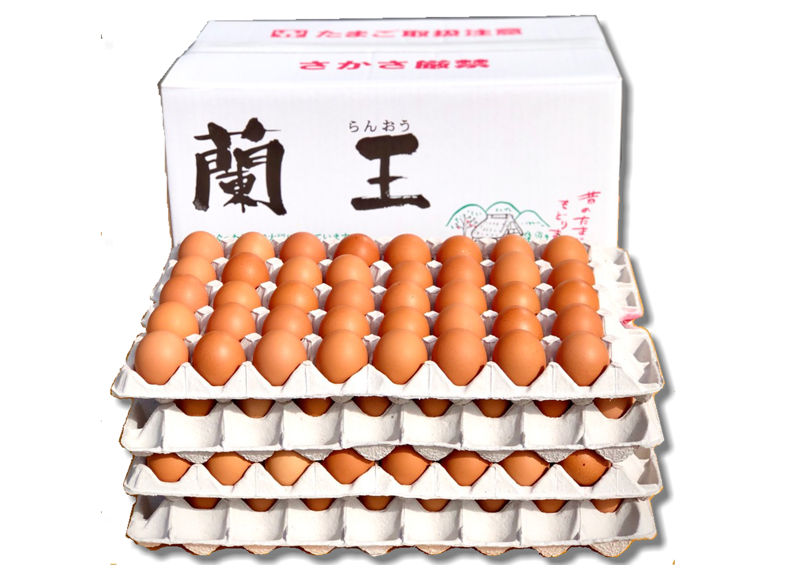 協和杵築農場の美味しい卵 蘭王卵 LM160個（バラ） | 蘭王オンライン