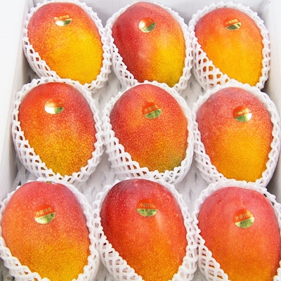 カテゴリ「マンゴー」 | 山城フルーツ園