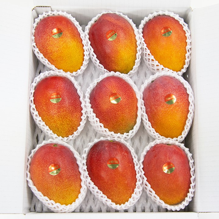 家庭用良品】アーウィンマンゴー4kg（8～13玉） | 山城フルーツ園