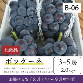 8月～9月のぶどう
