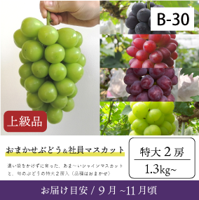 9月～10月のぶどう