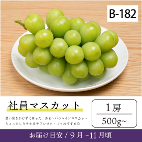 9月～10月のぶどう