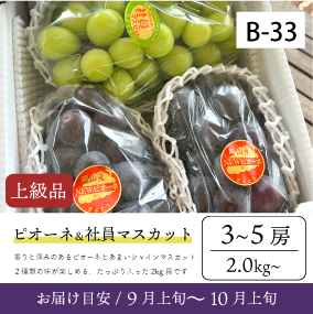 9月～10月のぶどう