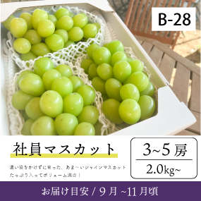 9月～10月のぶどう