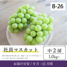 9月-10月B26/社員ﾏｽｶｯﾄ【中2房】6K