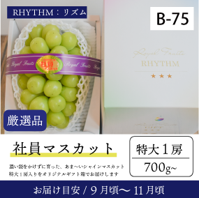 ぶどうまん様 リクエスト 7点中4点まとめ商品 10月～11月のぶどう