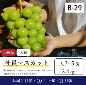 10月～11月のぶどう