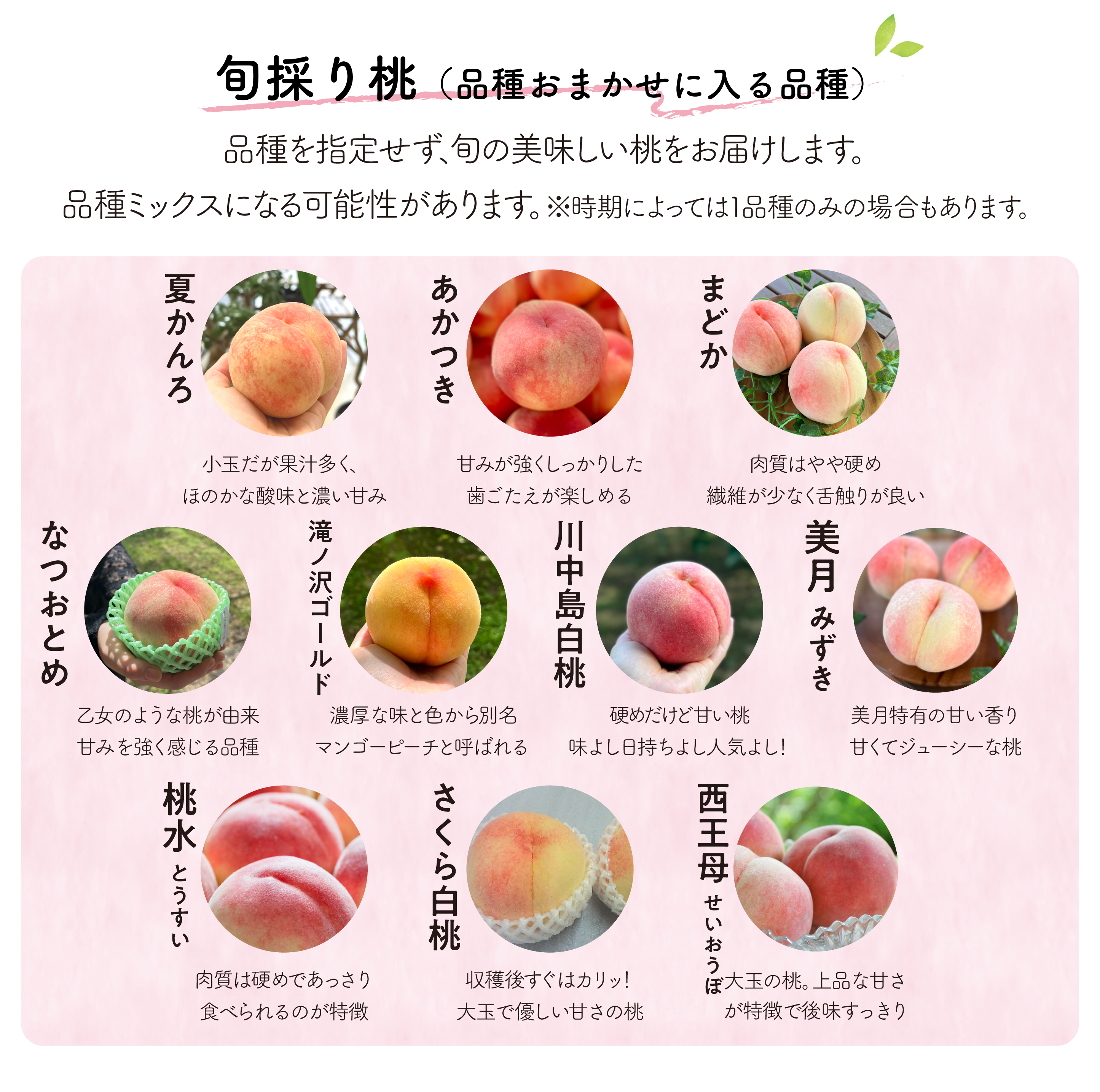 桃商品の詳細ページ | きよとうファーム 桃商品の詳細ページ | きよとうファーム