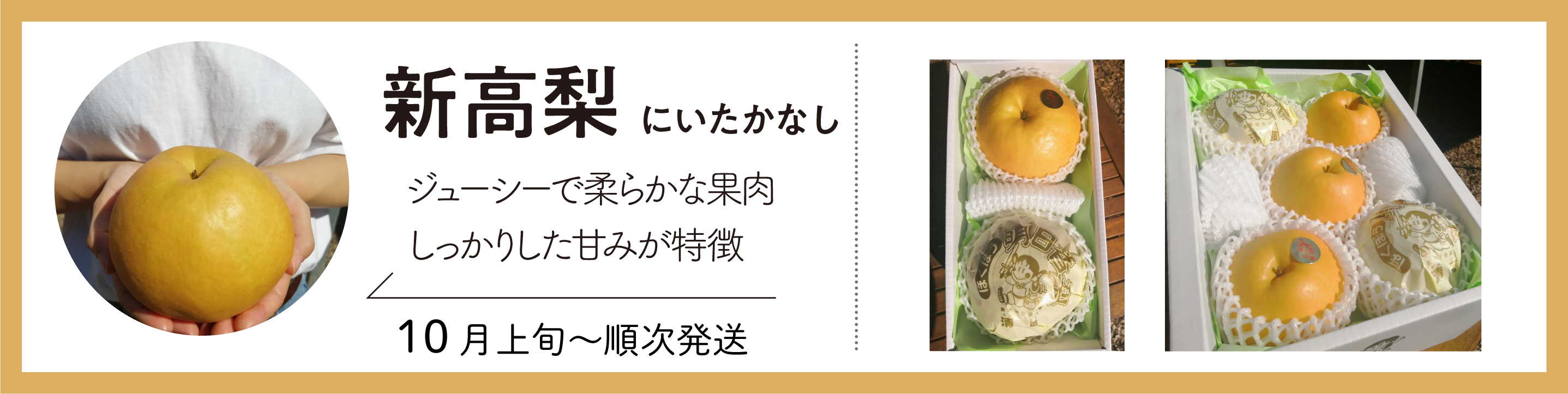 梨商品の詳細ページ | きよとうファーム