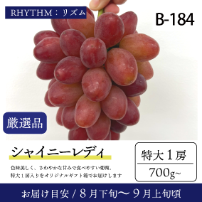 ぶどう☆様 出羽桜 とろけるやまがた ぶどう 720ml 秋田の地酒屋 佐金酒店