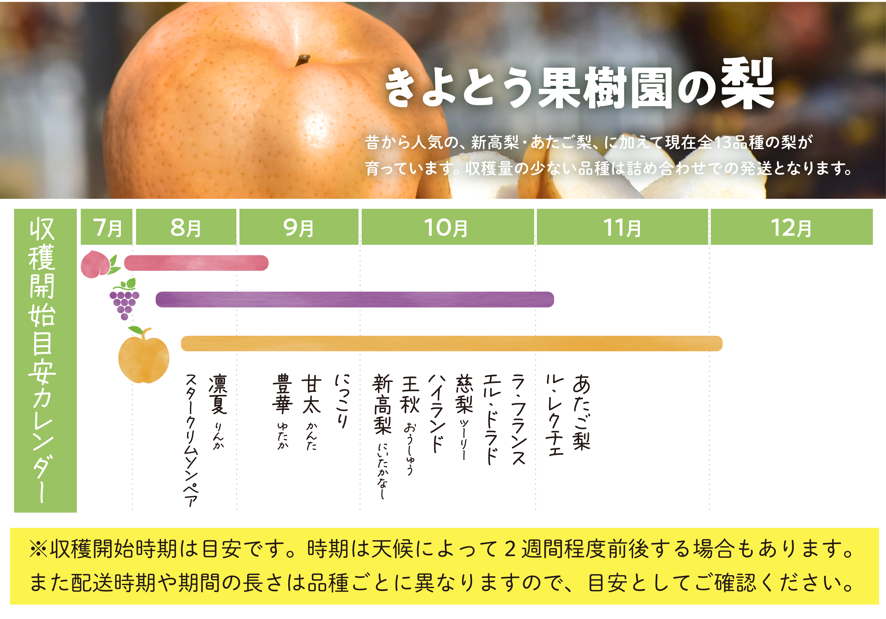 梨商品の詳細ページ | きよとうファーム
