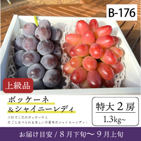 ぶどう☆様 出羽桜 とろけるやまがた ぶどう 720ml 秋田の地酒屋 佐金酒店
