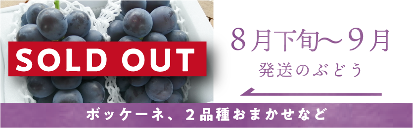 8月の葡萄