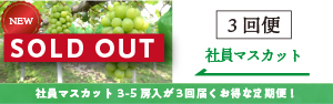 社員の3回便SOLDOUT