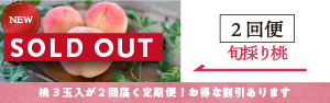 桃の2回便SOLDOUT