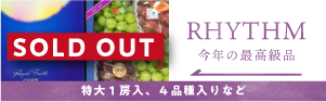 リズムSOLDOUT