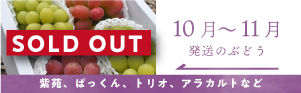 10月の葡萄SOLDOUT