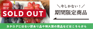 期間限定SOLDOUT
