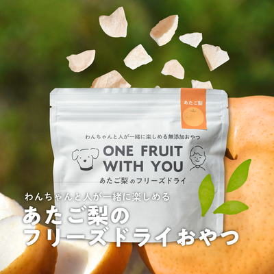 あたご梨のフリーズドライおやつF01/(22ｇ)&times;1袋